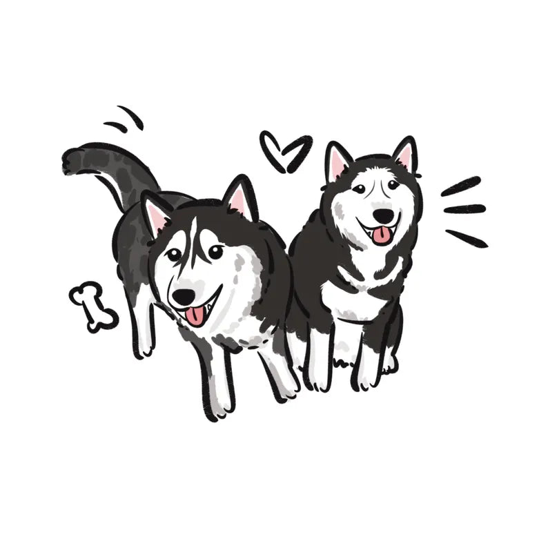 Zoom