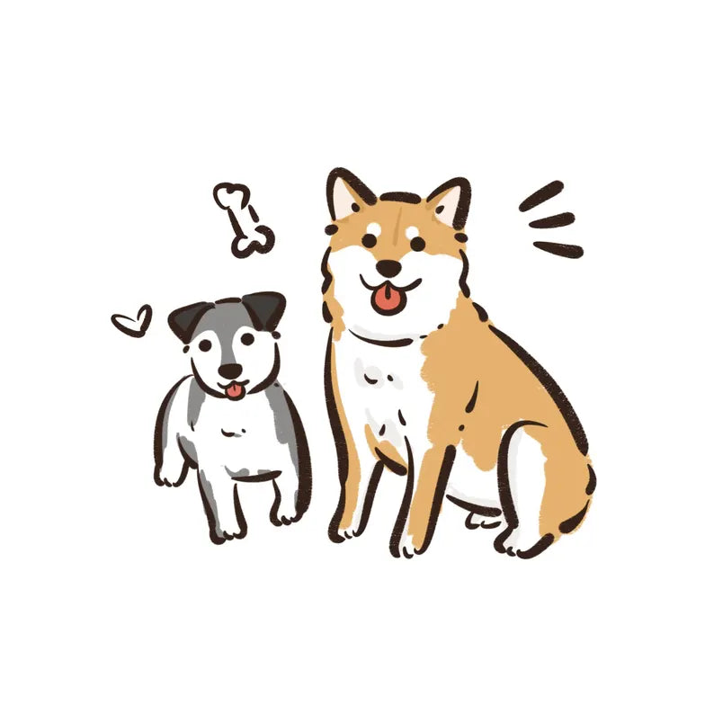 Zoom