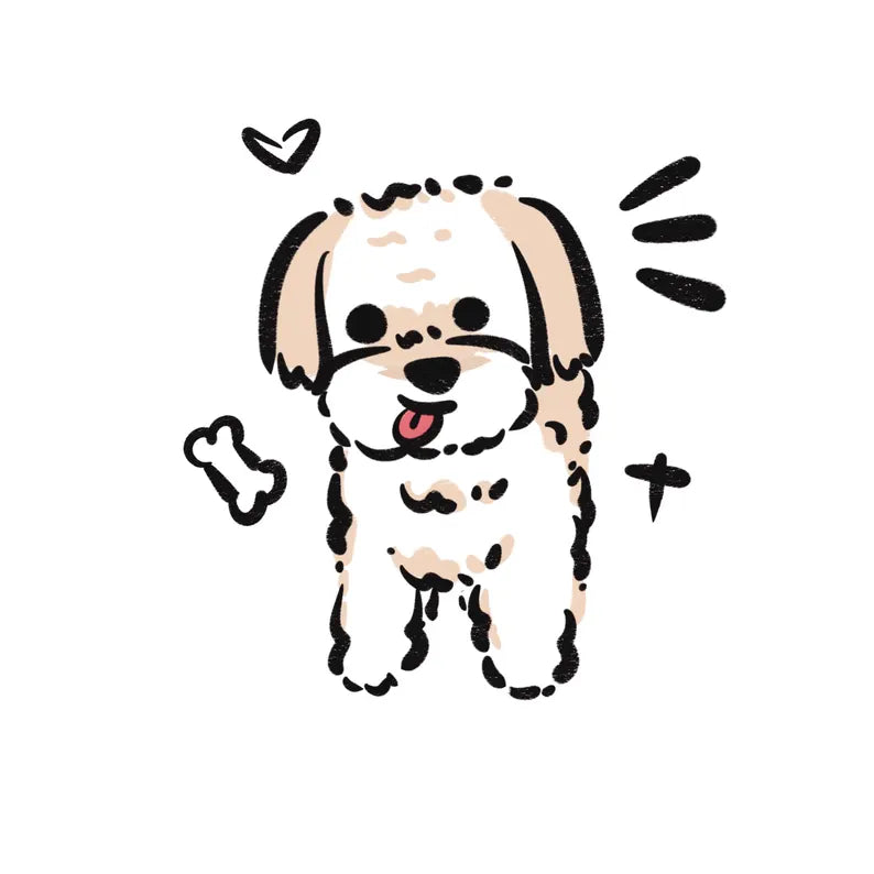 Zoom